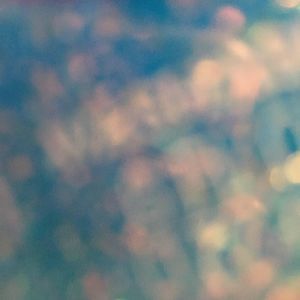 Meet your Posher, Beja